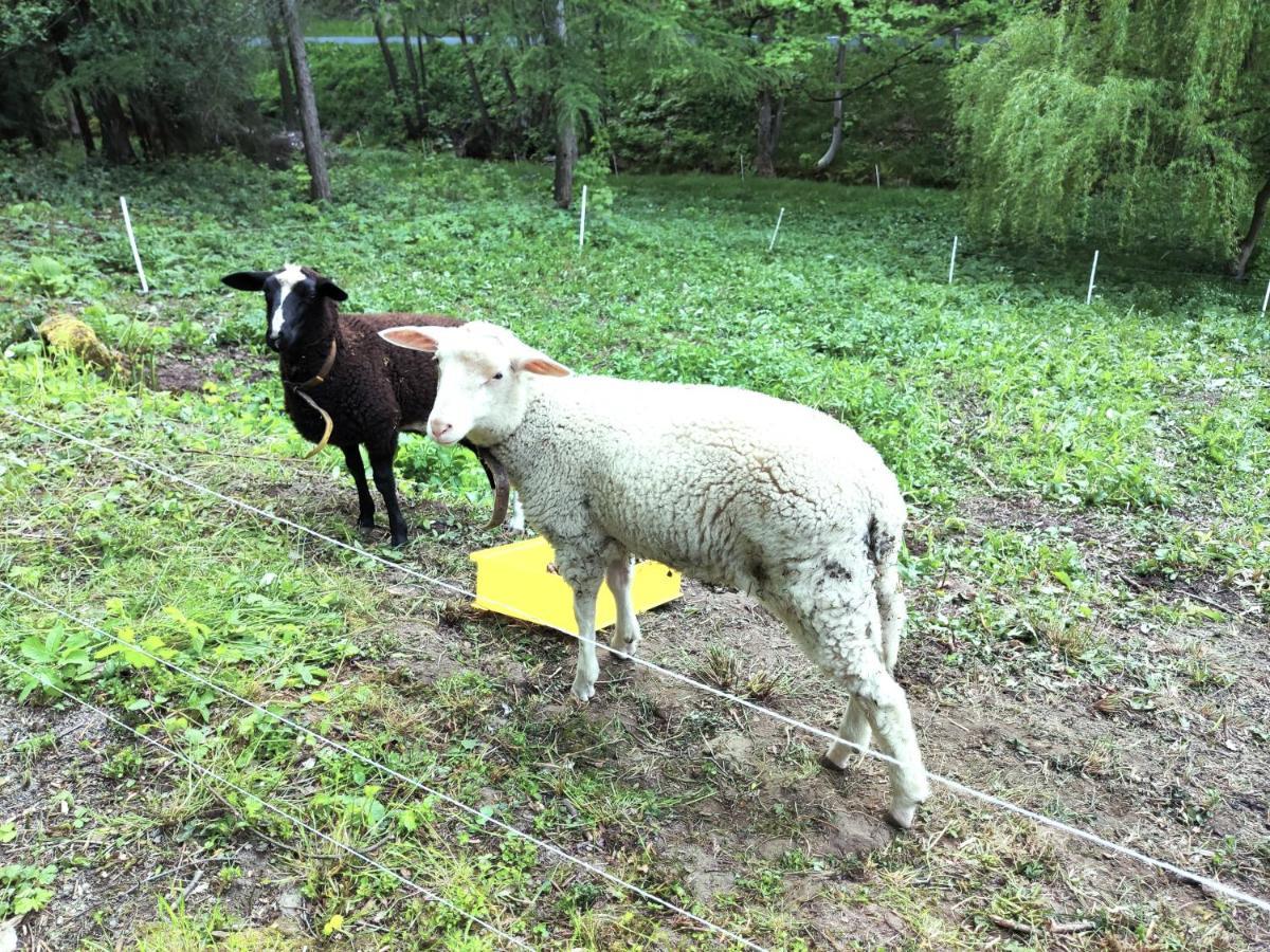 Sächsische Schweiz